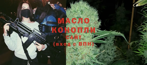 хмурый Мегион